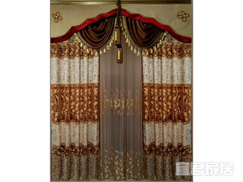 樹(shù)葉風(fēng)情